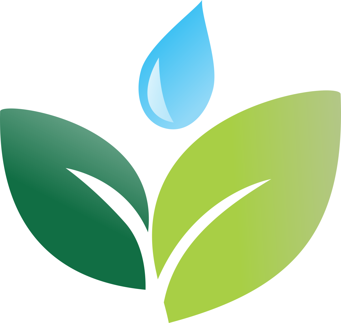 Logo  Calazans & Montovaneli Soluções Ambientais